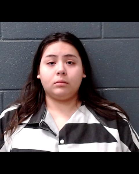 GARCIA, NATALLY E booking photo