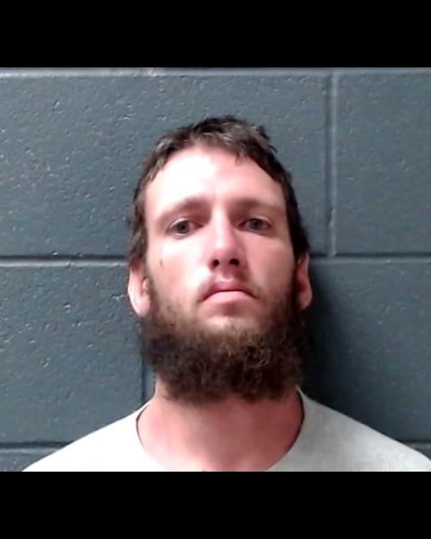 BROWN, SHAWN PATRICK booking photo