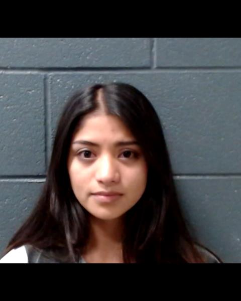 MIRZA, JENNIFER KELLY TRANG booking photo