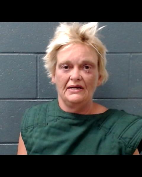 COWELL, TINA DANNENE booking photo