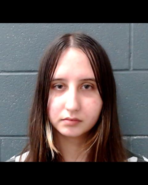 LOURENCO, HEATHER DENISE booking photo