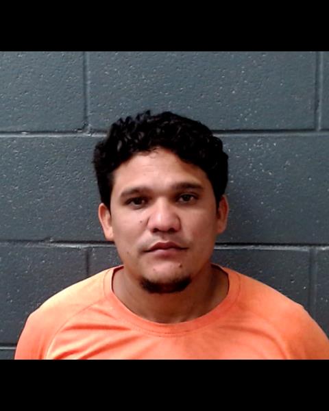 OLIVA, ALFRE JOSUE booking photo