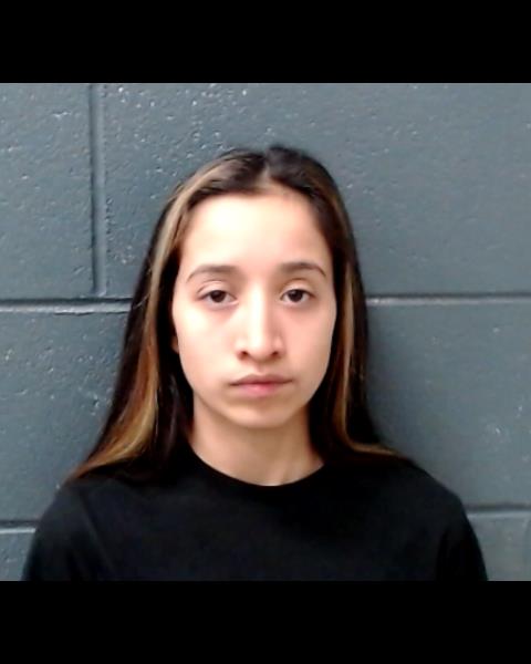 GARZA-VARGAS, KAREN booking photo