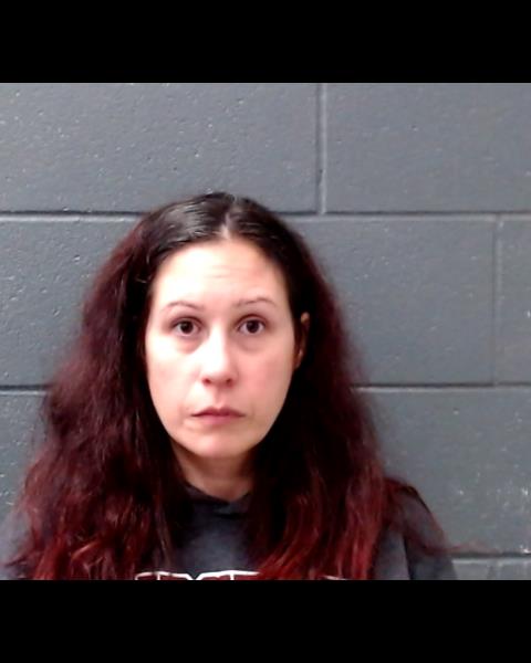 NESSEN, JILL MARIE booking photo