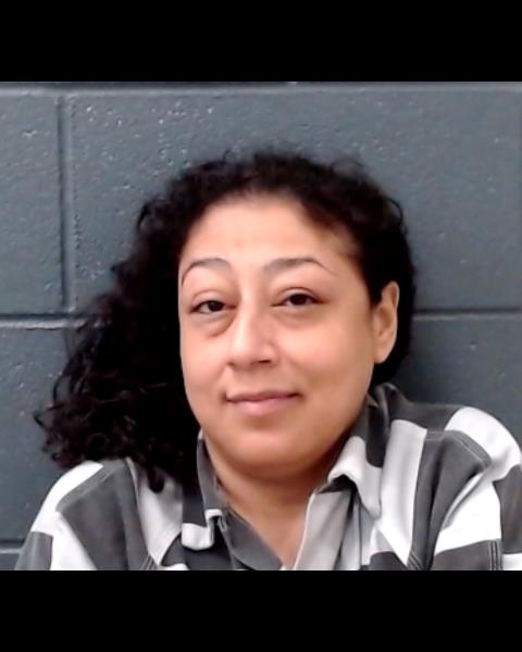 MAGALLAN, ERIKA LYNN booking photo