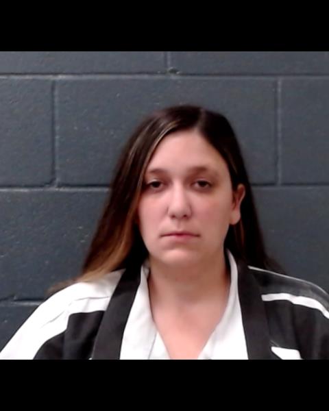 WYATT, ASHLEY NICOLE booking photo