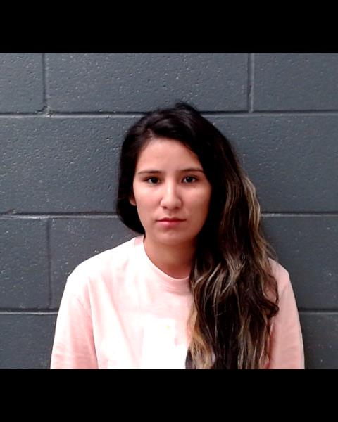 GONZALES, CASEY LYNN booking photo