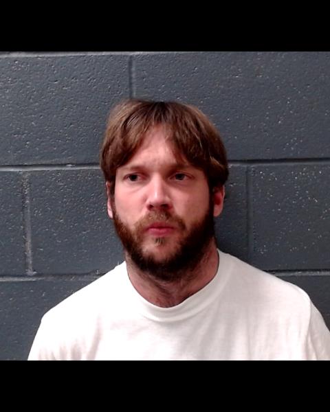 TIBBENS, LANE AUSTIN booking photo