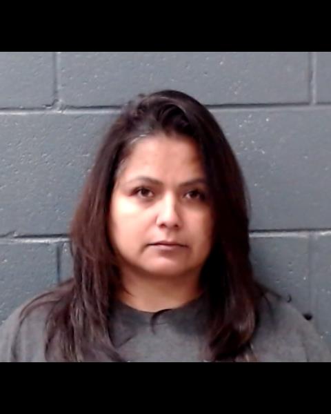 VILLANUEVA, DIANA MANUELA booking photo