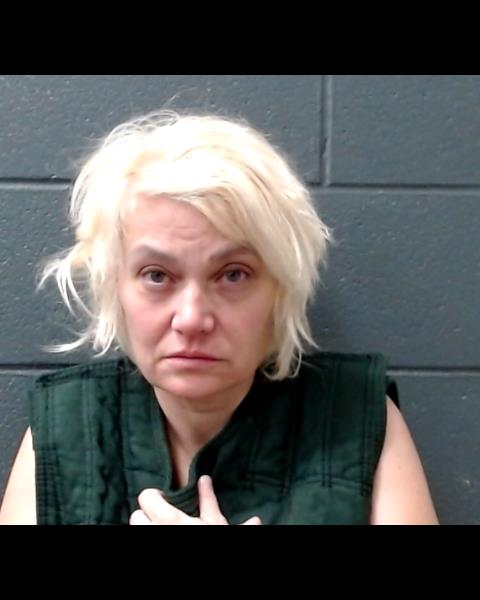 DAVID, LAURA JANE booking photo