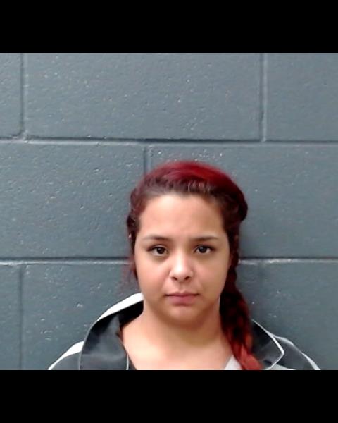 WEBSTER, ALEXANDRA NOELLE booking photo