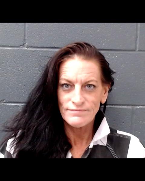 GIBSON, KRISTEN LACI booking photo