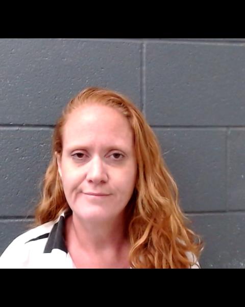 BAKER, MICHELLE NORELL booking photo