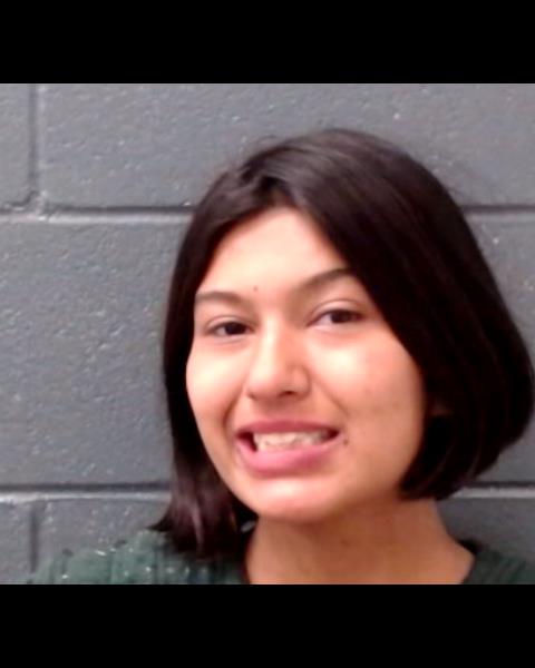 TRISTAN, JENAH JADE booking photo