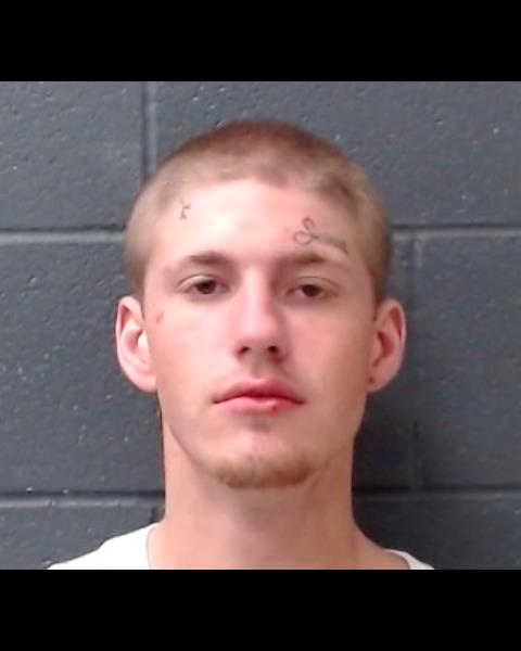 LEWIS, JESSE JAMES booking photo