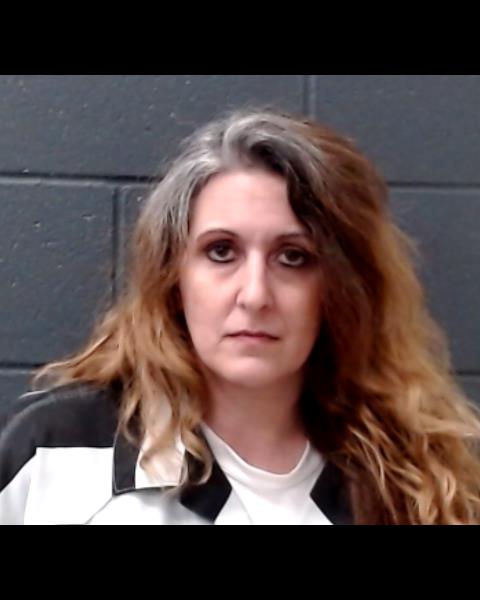 ELLIS, WENDY LEE ANN booking photo