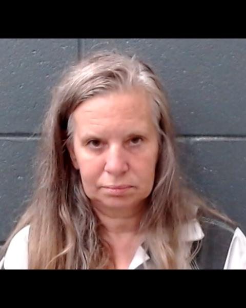 KETCHUM, MICHELLE COLEEN booking photo