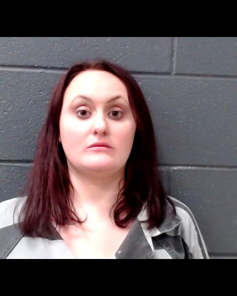 FISCHER, MEGAN MARIE booking photo