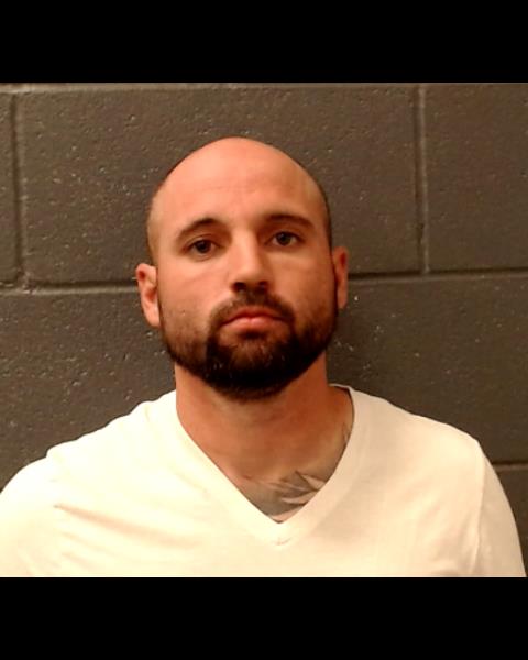 SAVAGE, LUKE ALLEN booking photo