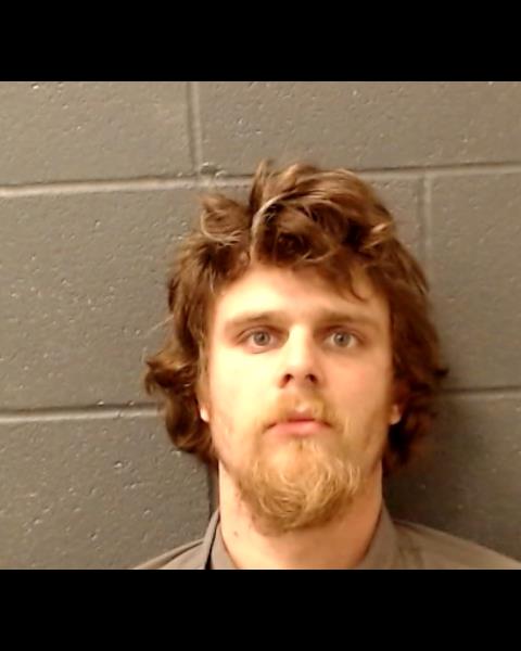 WILSON, CALEB JAMES booking photo