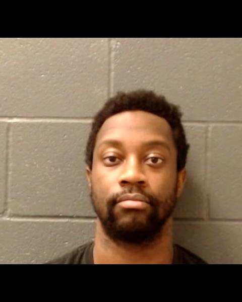 GOODEN, ZIGGY GLENN booking photo