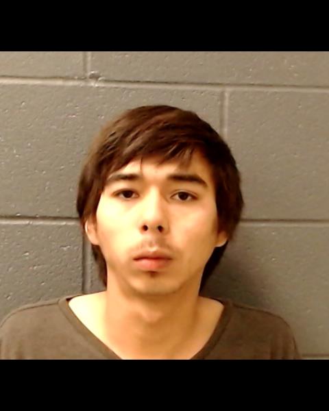 ALCANTARA, ANIMUS IAN booking photo