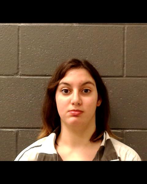 JONES, CAROL JEAN booking photo