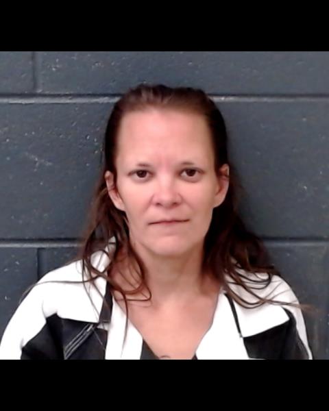 HUDSON, AMBER DAWN booking photo