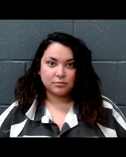 BRISENO, CASSANDRA LYNN booking photo