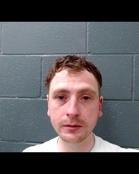 GRIFFITH, JOSHUA JAMES booking photo