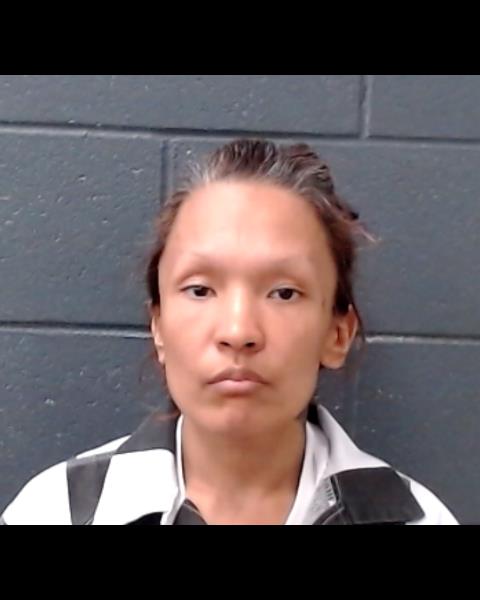 RODRIGUEZ, JOANNA DANIELLE booking photo