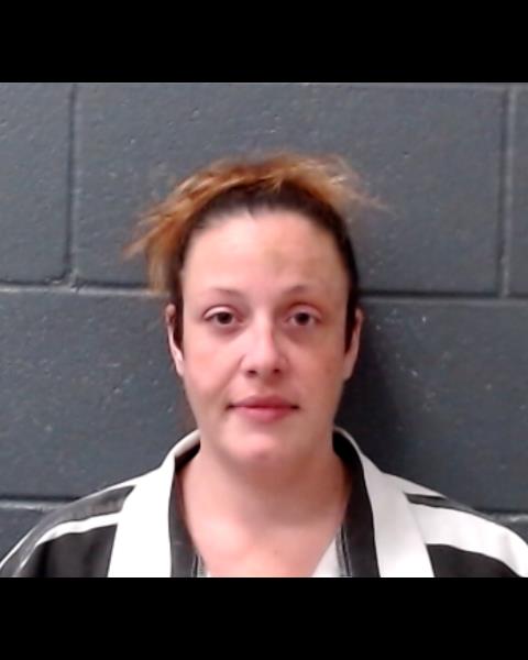 BEAN, HEATHER LYNN booking photo