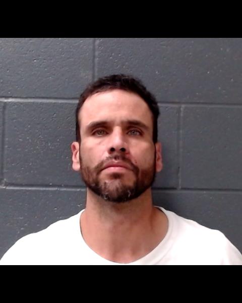 ALVARADO TIJERINA, DAVID ALBERTO booking photo