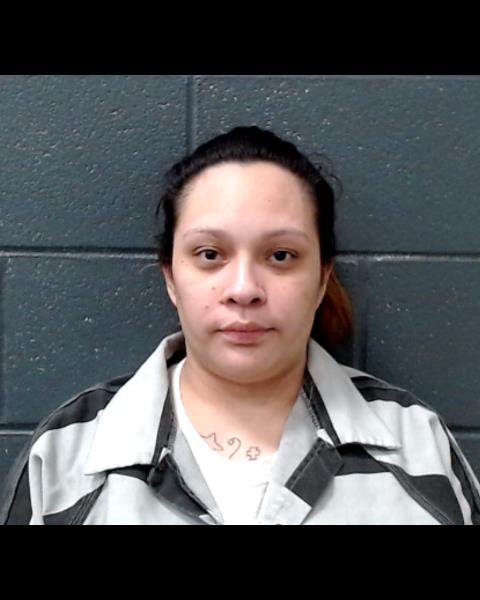VASQUEZ, AMANDA FLORES booking photo