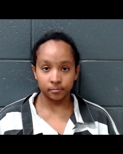 PALMER, MELINDA LOUISE booking photo