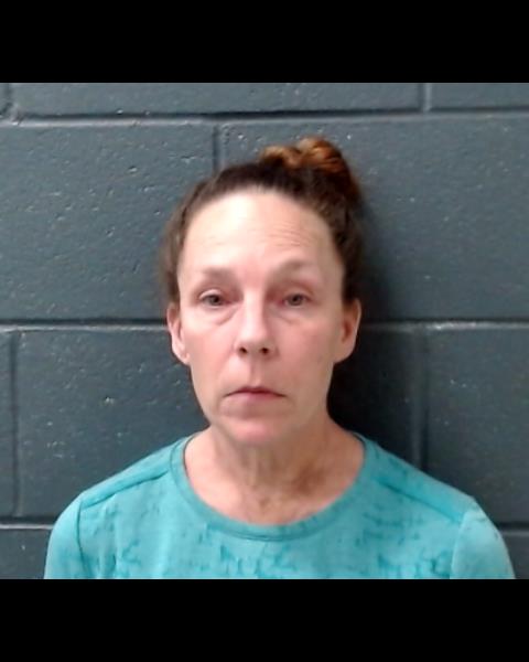 NEVITT, CHERYL ANN booking photo