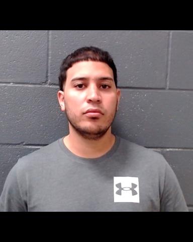 FELIX, LUIS GONZALEZ booking photo