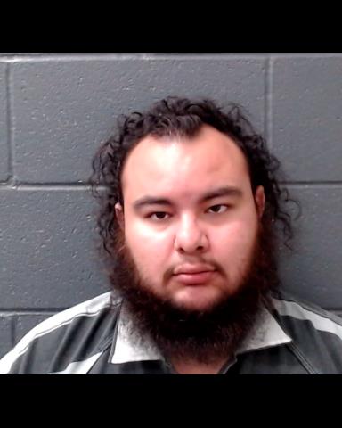 REYES, JOHNNY MIKEAL booking photo