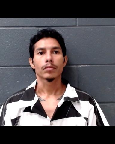 ROSALES, VICENTE AGAPITO booking photo