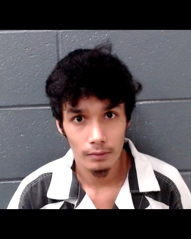 ROSALES, VINCENT AARON booking photo