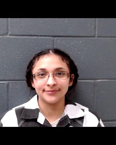 LONGORIA, LINDSEY RAQUEL booking photo