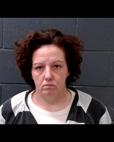 RICHARDSON, SARAH JEANINE booking photo