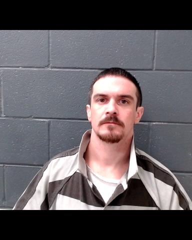 HATZFELD, JAMIE LEE booking photo