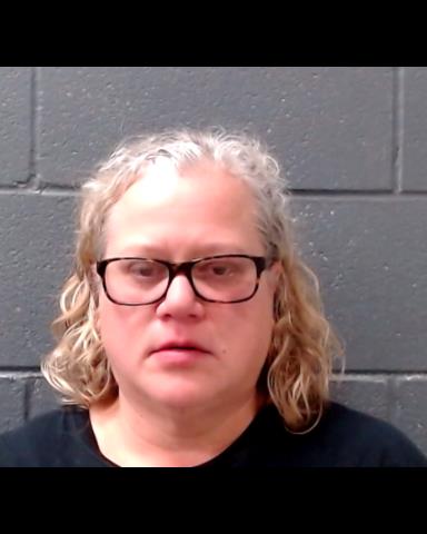SHIELDS, TRICIA LYNN booking photo