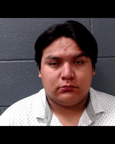 STEVENS, TREVOR BLAIZE booking photo