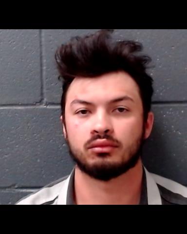 BELLOMY, DANIEL PAUL booking photo