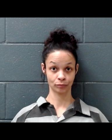 SURRATT, BRITTANY ANNE booking photo