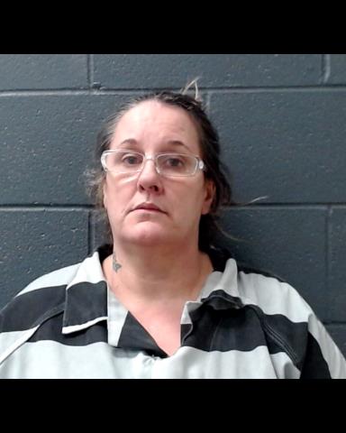 DAVIS, TRACY RENE booking photo