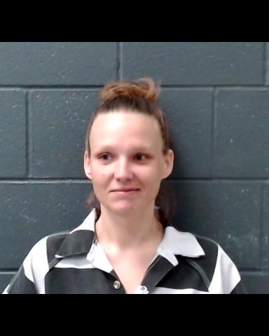 WALKER, MICHELLE RENEE booking photo