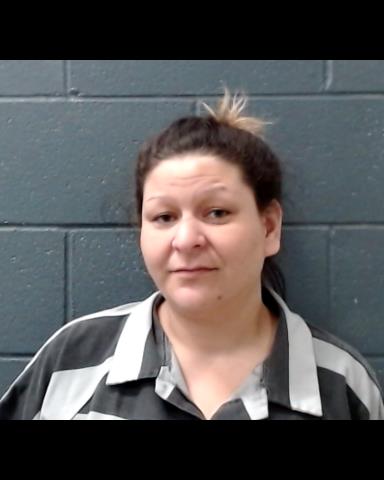 HERNANDEZ, CANDY NICOLE booking photo